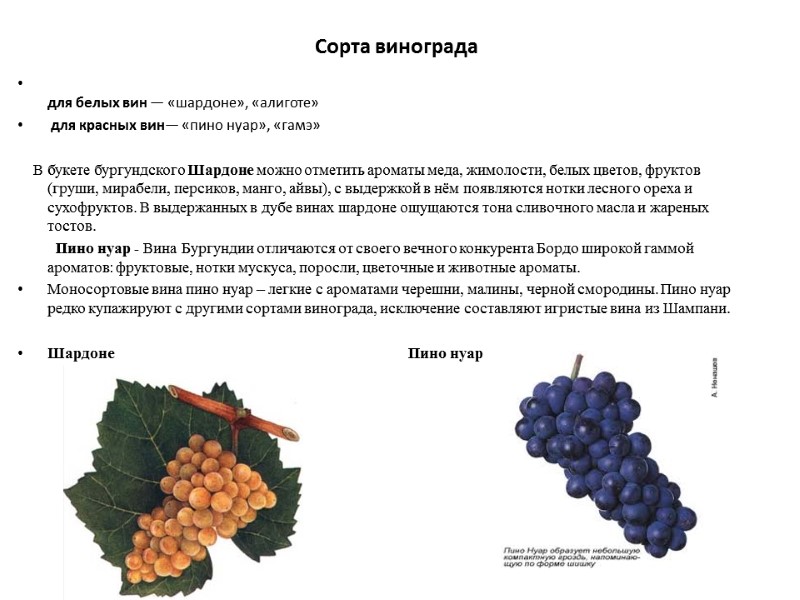 Сорта винограда  для белых вин — «шардоне», «алиготе»   для красных вин—